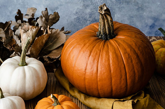 Pumpkin Fever + Pumpkin Chai Recipe