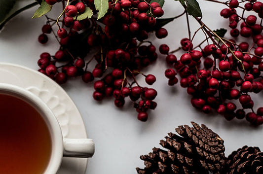 2021 Gift Giving Guide for Tea Lovers