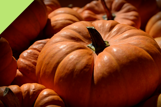 Trick or Treat With Premium Steap