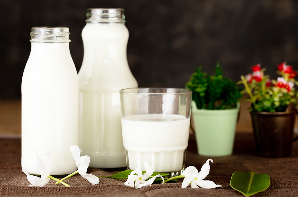 What Kind Of Milk Is Best For Tea?