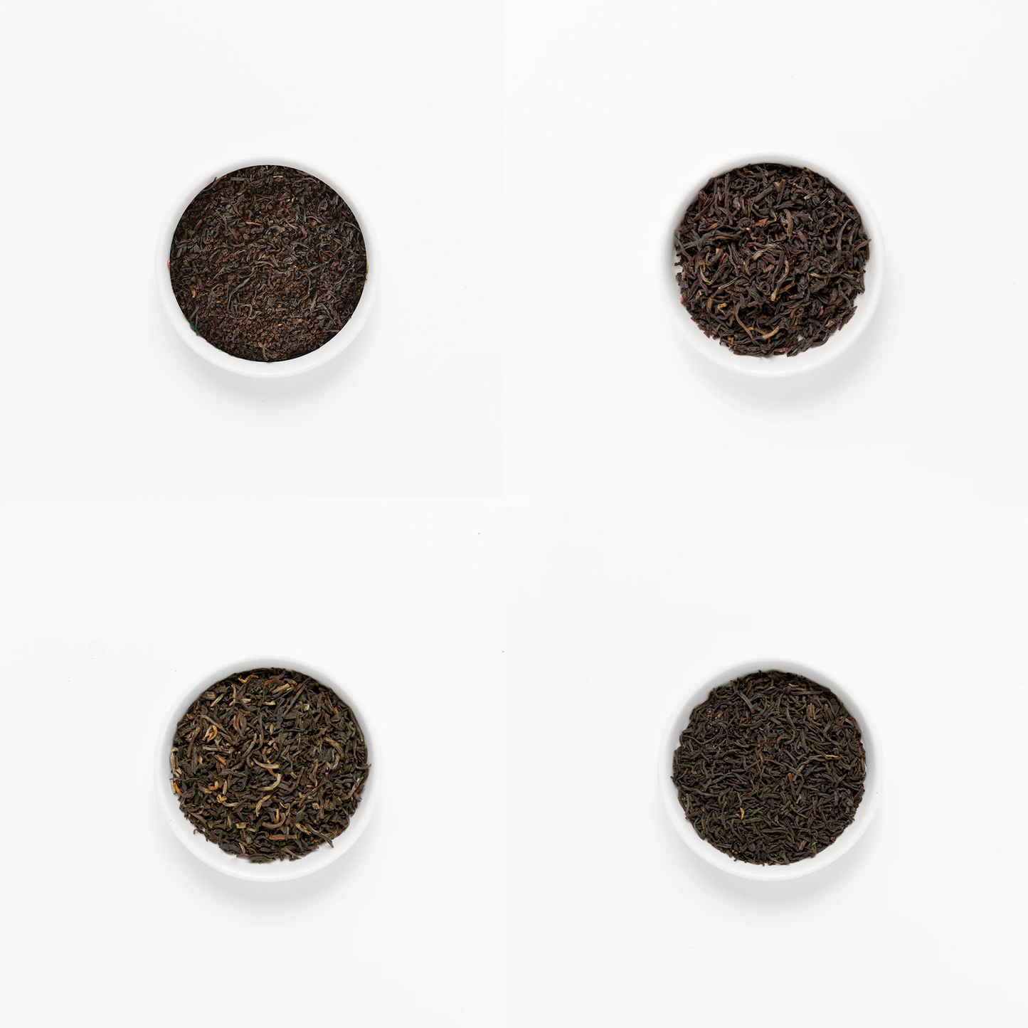 Philosopher’s Favorites Sampler