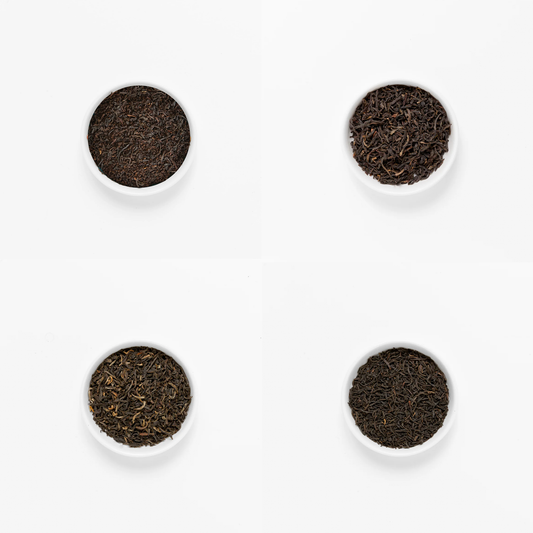 Philosopher’s Favorites Sampler